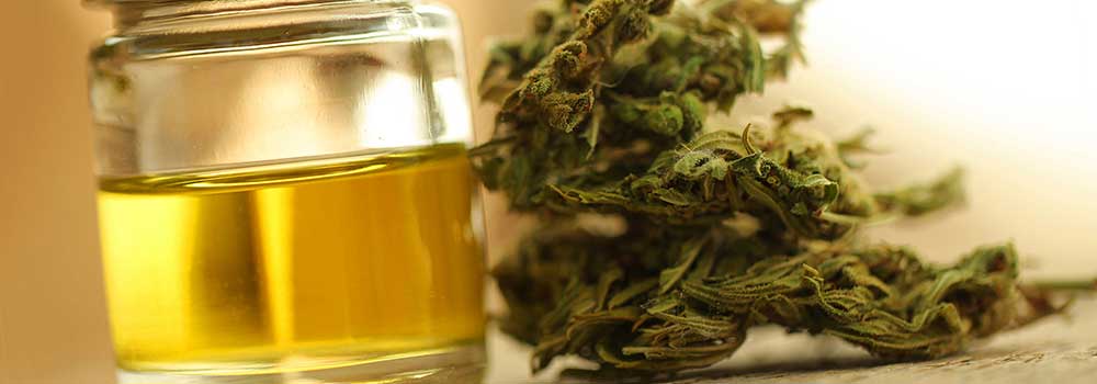 CBD-Oil-in-Kansas-City-on-CivicDaily