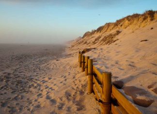 What-You-Should-Know-About-Guadalupe-Nipomo-Dunes-on-civicdaily
