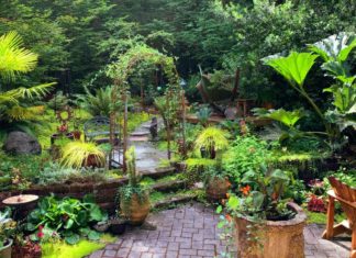 Thankful-Items-of-the-Garden-That-I-Have-This-Year-on-civicdaily
