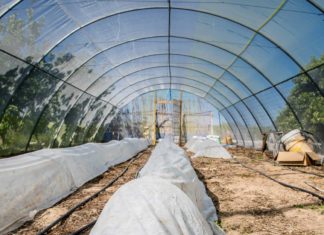 Few-Tips-on-Winter-Mini-Greenhouse-for-Sale-on-civicdaily