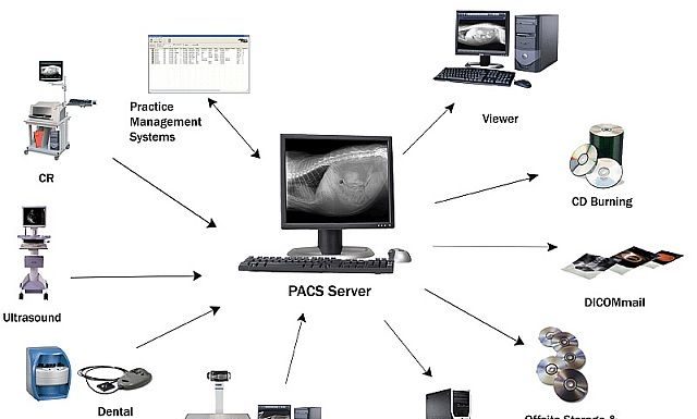 types of PACS systems